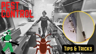 Pest Control | Cockroach Removal | Kitchen and Bathrooms | Kitchen Deep Cleaning | Tips and Tricks