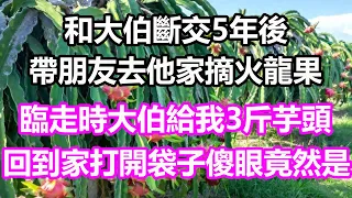 和大伯斷交5年後，帶朋友去他家摘火龍果，臨走時大伯給我3斤芋頭，回到家我打開袋子後傻眼，竟然是...#淺談人生#為人處世#生活經驗#情感故事#養老#退休#花開富貴#深夜淺讀#幸福人生#中老年頻道