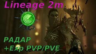 Lineage 2m Радар и общие настройки