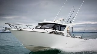 WHITE POINTER 940 PRO SPORTSMAN  BEST NEW ZEALAND TRAILERBOATS