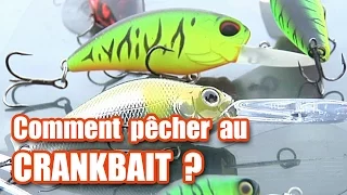 Comment pêcher au CRANKBAIT ? (brochet, perche, sandre...)