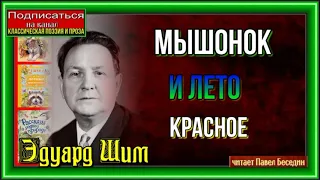 Мышонок и лето красное, красное —Эдуард Шим— Рассказы о природе —читает Павел Беседин