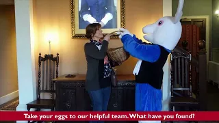 Easter Egg Hunt 2024 at Hartlebury Castle - How it Works