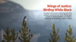 Wings of Justice: Birding While Black