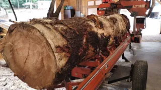 Woodmizer lt 35 Sawing Huge White Pine Log .