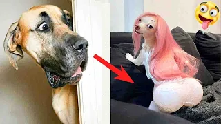 Funny Animal Videos 2023😂💓Funniest Dogs and Cat Video🐶😺😍#104