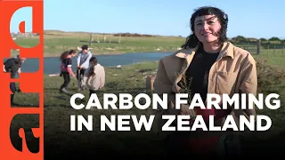 New Zealand Carbon Farms Cause Problems | ARTE.tv Documentary