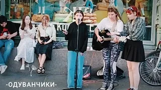 Уговорила уличных музыкантов подыграть/Одуванчики/cover Алёна Швец, СПб 23г