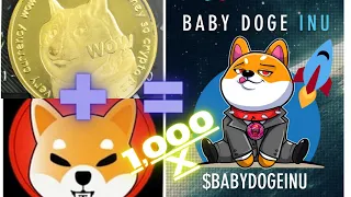 BABY DOGE INU NEXT 1000X SHIBA KILLER ??