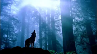 Sleep Music | 1h of Wolf Relaxing Sounds | Sounds Sleep Music #1