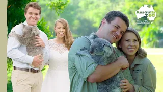 A special moment with Brandi the koala | Australia Zoo Life