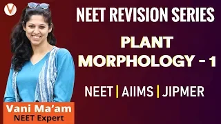 NEET Biology 2019 | Plant Morphology - 1