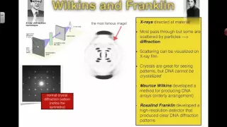 Wilkins and Franklin (2016) IB Biology