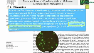 Майкл Грегер. Можно ли съесть слишком много брокколи