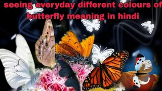 Seeing everyday different colours of butterfly meaning in hindi #differentcolourbuttery#butterfly