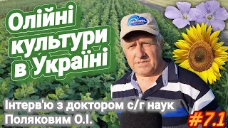 Oil crops in Ukraine. Interview with Polyakov O.I. (Institute of oil crops of the National Academy)