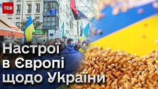 Зерновий скандал вплинув на терміни вступу України до ЄС? Стефанішина про перспективи