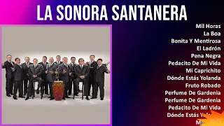 La Sonora Santanera 2024 MIX Las Mejores Canciones - Mil Horas, La Boa, Bonita Y Mentirosa, El L...