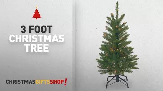 Most Popular 3 Foot Christmas Tree: National Tree 3 Foot Kingswood Fir Wrapped Pencil Tree with 50