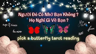 Người Đó Có Nhớ Bạn Không? Họ Nghĩ Gì Về Bạn?🔮😚🩷#xemtarot - pick a card tarot reading