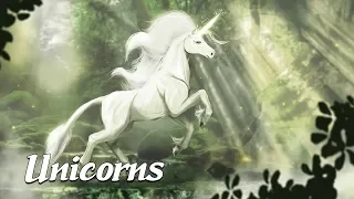 The History of Unicorns (Mysterious Legends & Creatures #7)