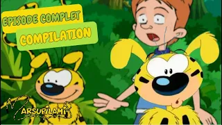 Le marsupilami agrandit sa famille | Compilation | Marsupilami en Français