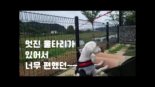 Memory 19. 울타리가 있어서 너무 편했던 캠핑 / 첨 먹어본 한강라면 / 제대로 였던 김치전 / 아워포레스트 캠핑장