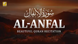 Relaxing recitation of Surah Al-Anfal سورة الأنفال | Heart Touching | Zikrullah TV