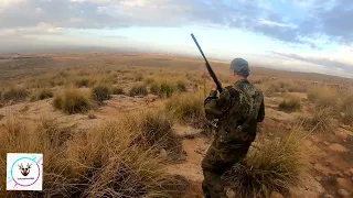 الصيد البري في الجزائر /Дикая охота в Алжире/Wild hunting in Algeria