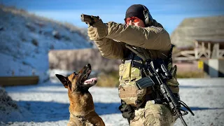 Hunting the Special Forces | PAWS OF DUTY – The Danish dog trainer behind American K-9 heroes