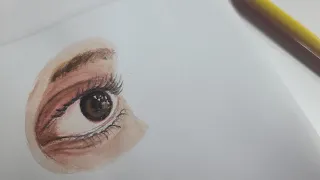 How to make eyes  with water color ||step by step||for beginners