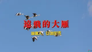 你聽過《三體》的插曲嗎？旦增尼瑪的《遠飛的大雁》讓我熱淚盈眶！#三體