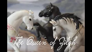 The Queen of Zilch - Schleich Model Horse Role-Play Movie