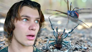 Hunting Australia's Most VENOMOUS Spiders! (Funnel-Web & RedBack)