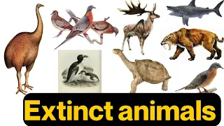 Extinct animals | Extinct species | Kids Learning