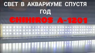 Что стало с аквариумным светом CHIHIROS A-Serie-1201 спустя год.