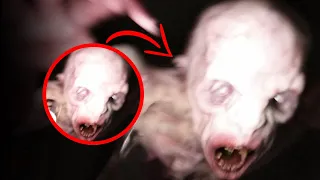 70 Scary Videos That Will Haunt Your Dreams (Mega Comp V.2)