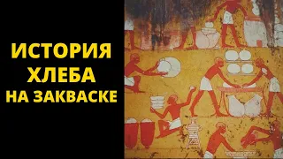 История хлеба на закваске / Антон Корнышов