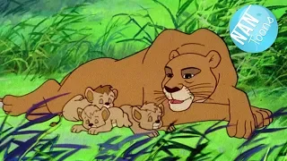 SIMBA EL REY LEÓN serie animada | Simba dibujos animados | Simba King Lion en español | EP. 25