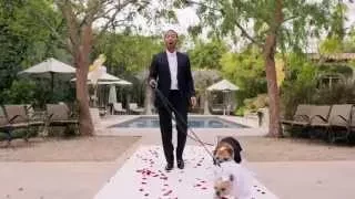 Dog wedding with John Legend