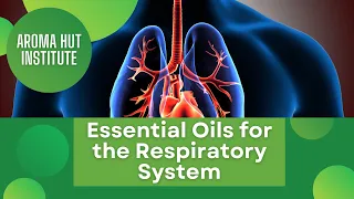 Essential Oils For Respiratory Health