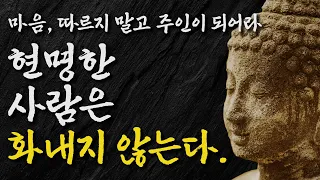 석가모니 명언 | 인생조언 | 현명한 사람은 화내지 않는다 | 오십 넘어 지혜로운 사람들의 특징 | 매일 듣는 부처님 말씀