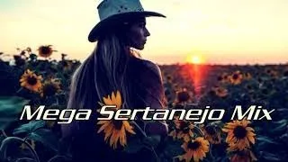 REMIX SERTANEJO 2021- MELHORES SERTANEJOS 2021 Janeiro!!