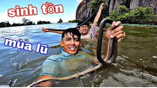 29h Sinh Tồn Trong Nước Lũ | Bắt Rắn Ráo Chuột Đồng 1 Ngày Bội Thu Cho TEAM Sang Vlog