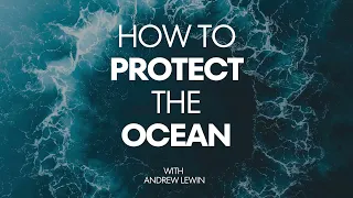 Got Climate/Ocean Anxiety? Try Talking About the Climate/Oceans. Here is how I talk about...