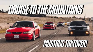 MUSTANGS TAKE OVER HIGHWAY on a Cruise to the Mountains! | BIRTHDAY SPECIAL