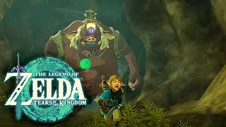 Мегастрим ч13 The Legend of Zelda: Tears of the Kingdom (Switch, 2023)