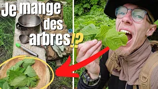 LES FEUILLES D'ARBRES SE MANGENT !? | Vlog vie en forêt