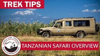 Safari Across Tanzania - Serengeti, Tarangire, Ngorongoro, and Much More! | Trek Tips