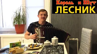 РОК НА БАЯНЕ! КОРОЛЬ И ШУТ "ЛЕСНИК" кавер на кухне))